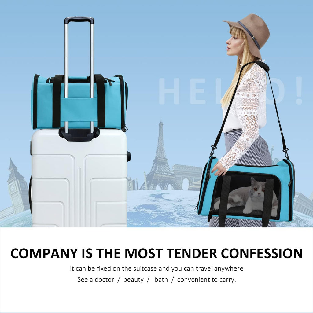 Henkelion Pet Carrier for Cats and Dogs – TSA Approved, Foldable, Soft-Sided, Up to 15 lbs – Black