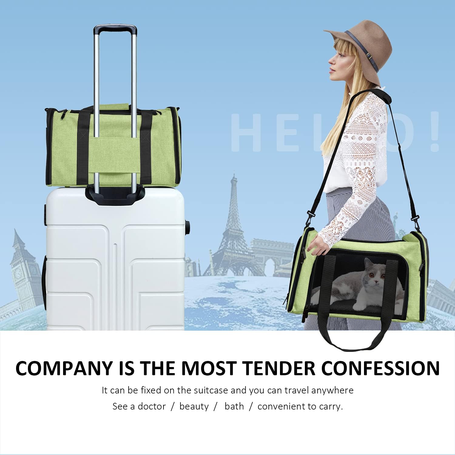 Henkelion Pet Carrier for Cats and Dogs – TSA Approved, Foldable, Soft-Sided, Up to 15 lbs – Black