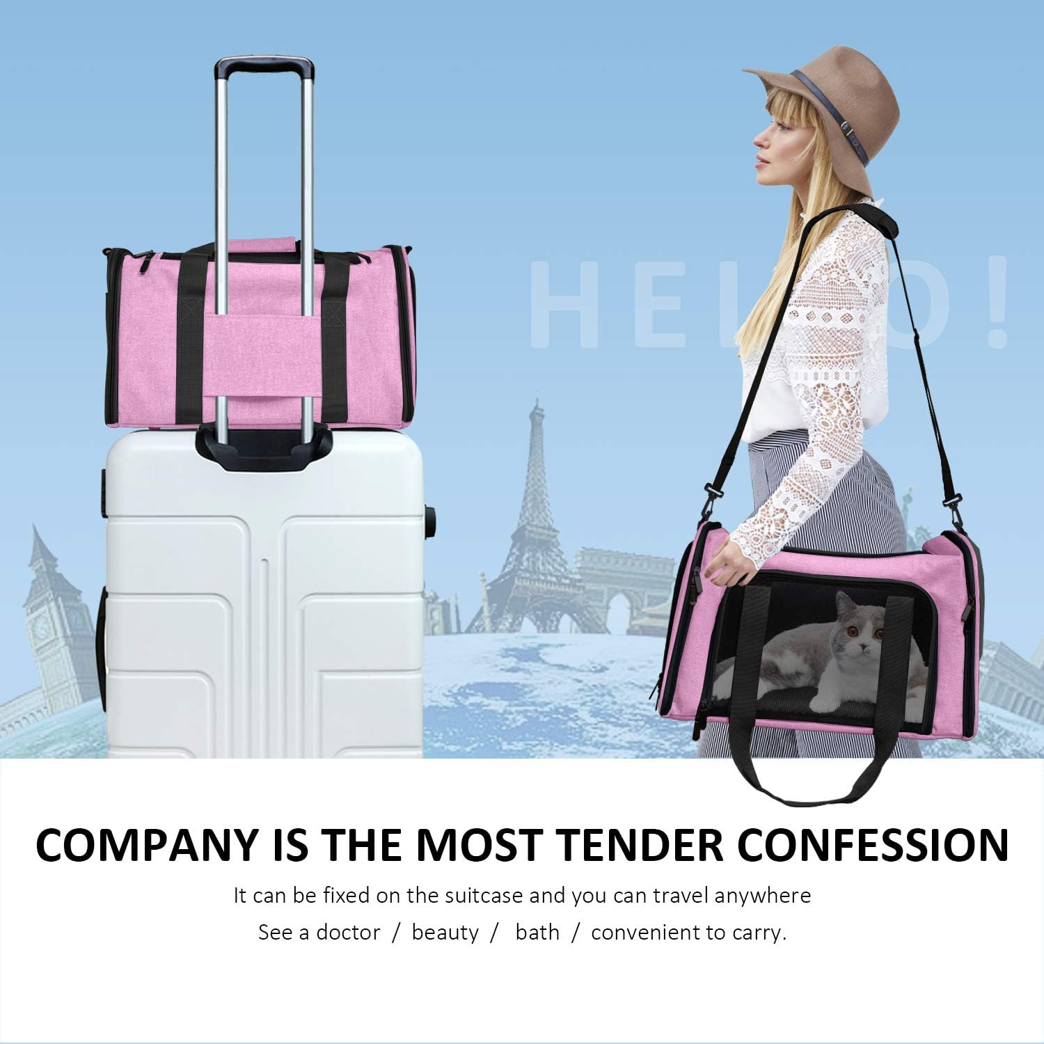 Henkelion Pet Carrier for Cats and Dogs – TSA Approved, Foldable, Soft-Sided, Up to 15 lbs – Black
