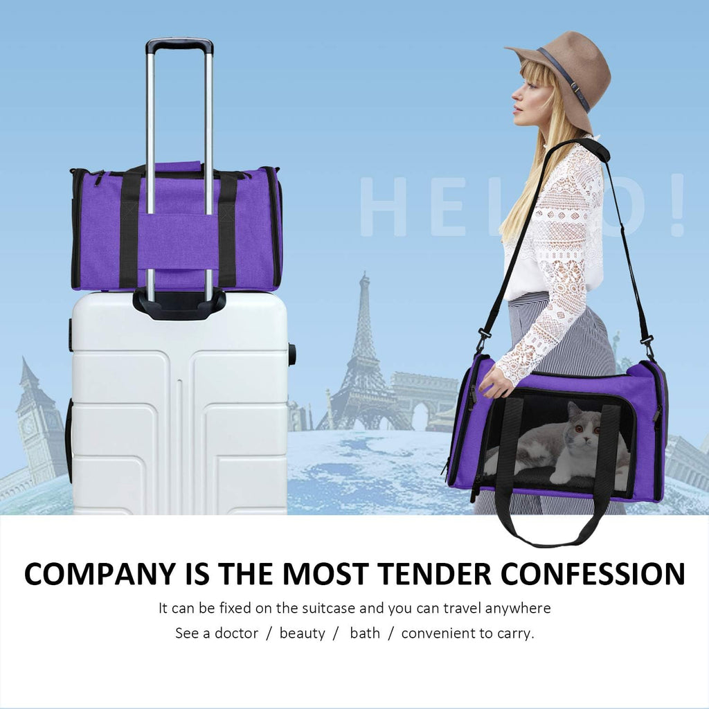 Henkelion Pet Carrier for Cats and Dogs – TSA Approved, Foldable, Soft-Sided, Up to 15 lbs – Black