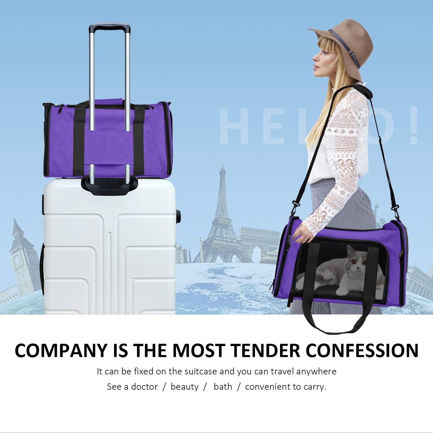 Henkelion Pet Carrier for Cats and Dogs – TSA Approved, Foldable, Soft-Sided, Up to 15 lbs – Black