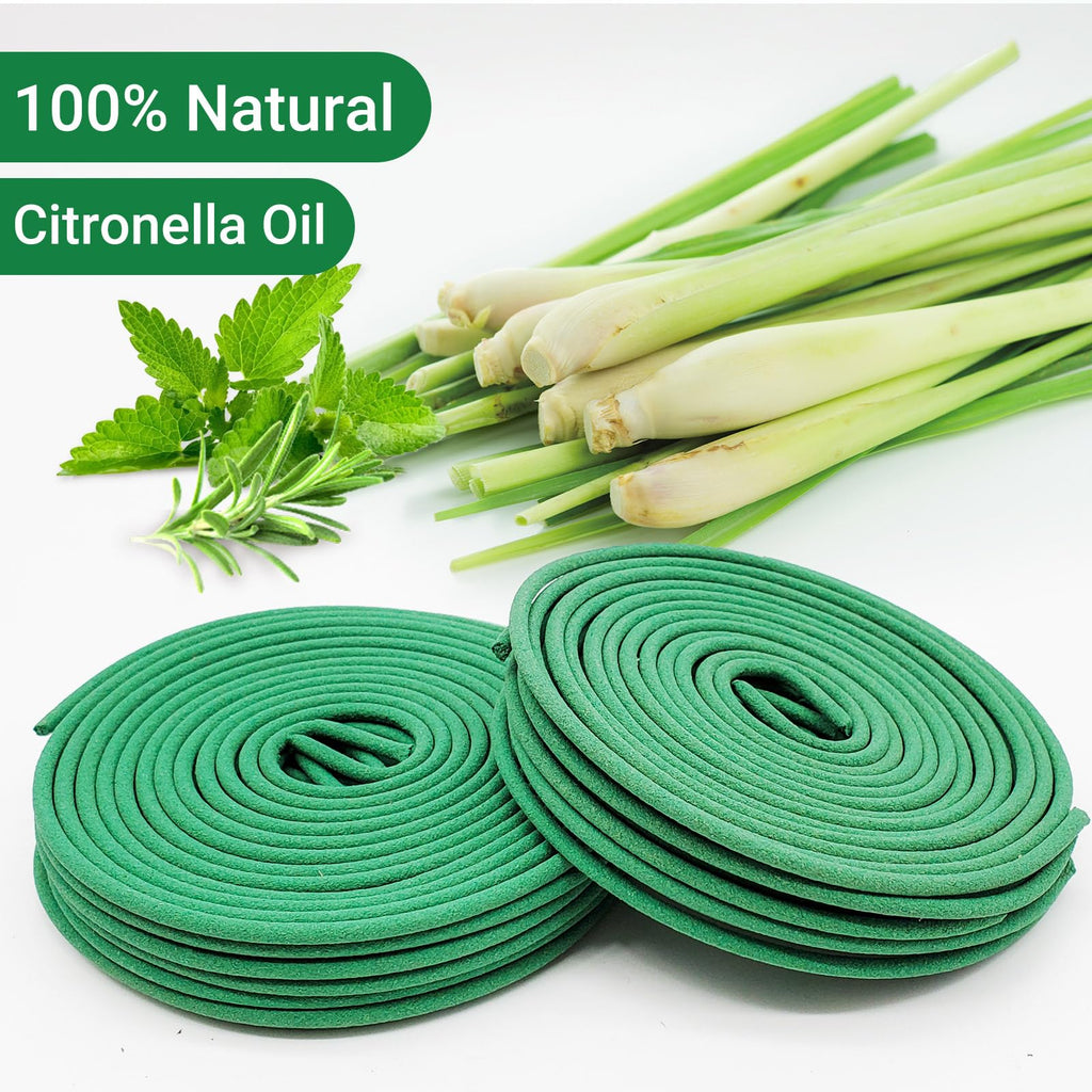 Citronella Mosquito Repellent Incense Coils – 48 Pieces per Box, Natural Plant-Based, Indoor & Outdoor Use